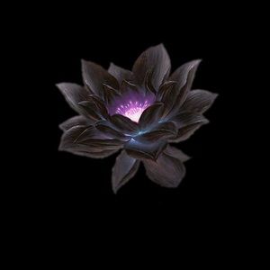 Meet your Posher, Erick